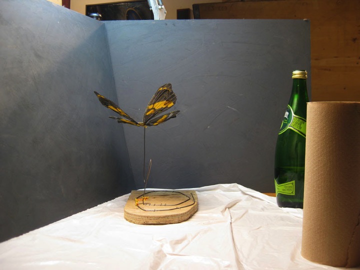 Photo #1 of butterfly maquette made from paper, wire, glue, wood and staples.