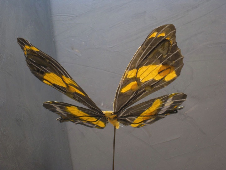 Photo #2 of butterfly maquette.
