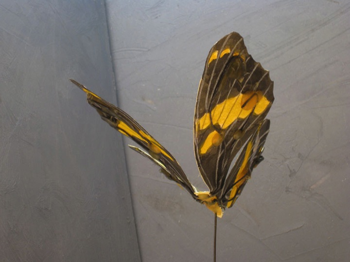 Photo #3 of butterfly maquette.
