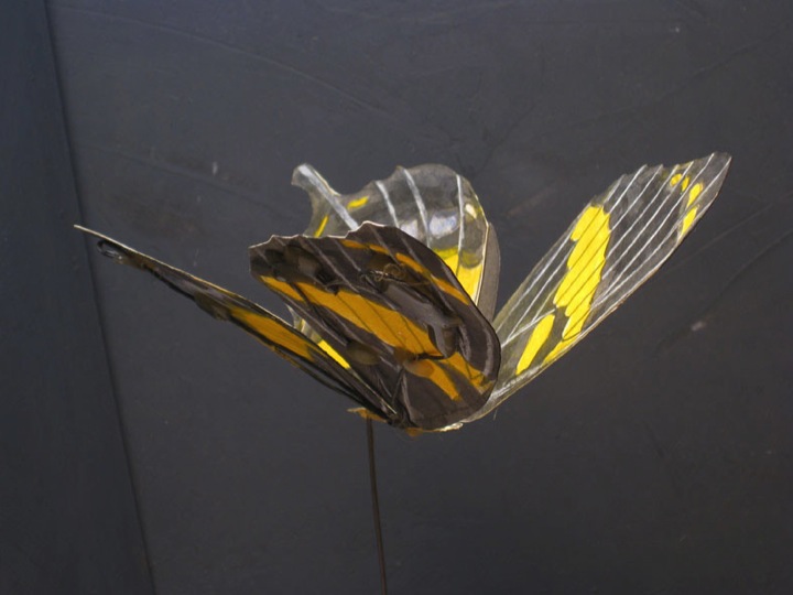 Photo #4 of butterfly maquette.