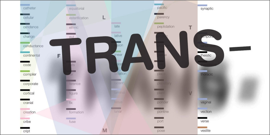 TRANS-banner_option_1